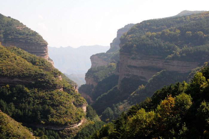 DSC_7522-1.jpg