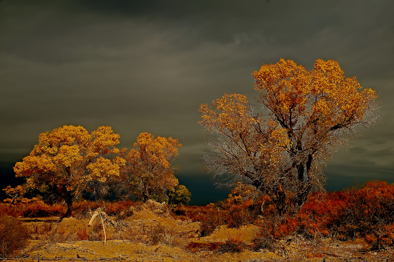 DSC_1025-1.jpg