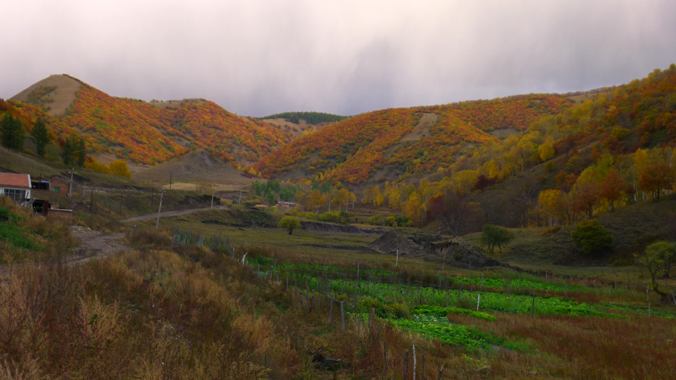 P1120566.JPG