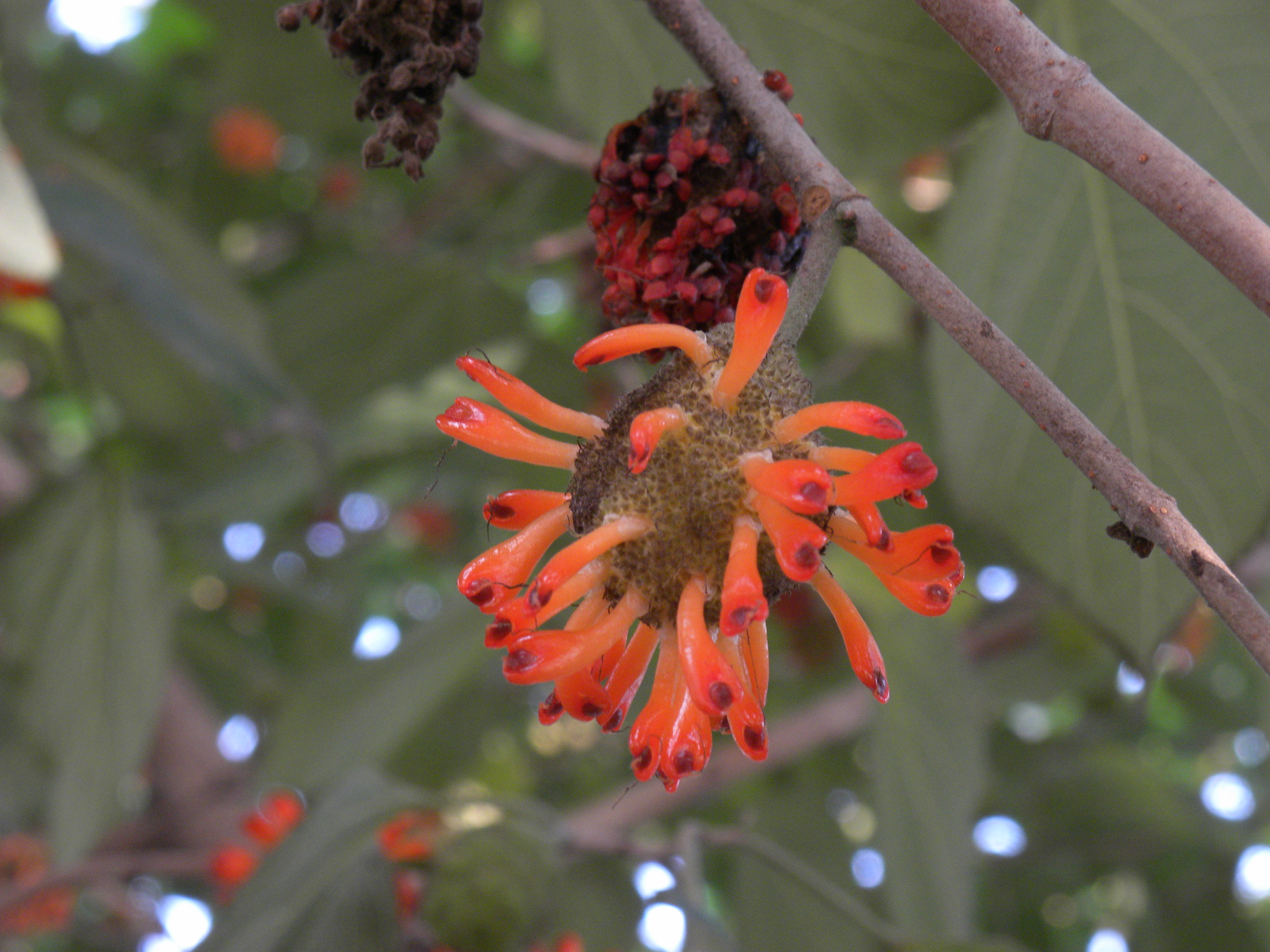 DSCN6304.JPG