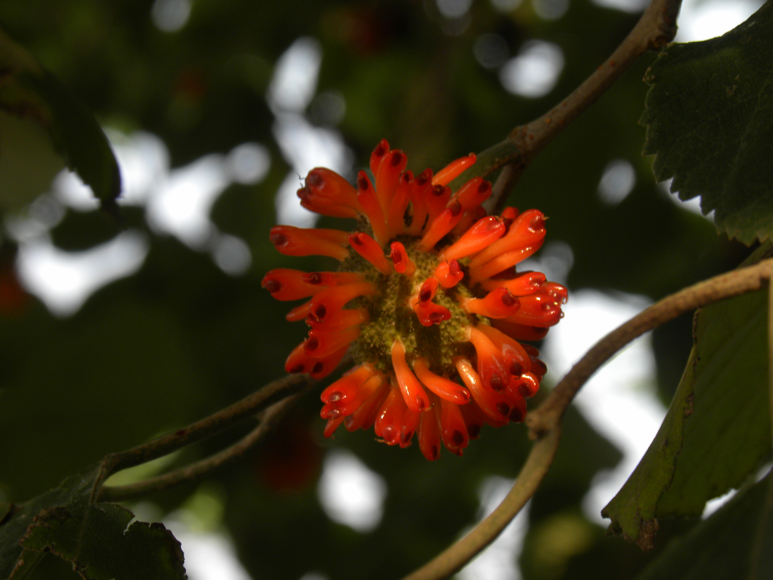 DSCN6302.JPG