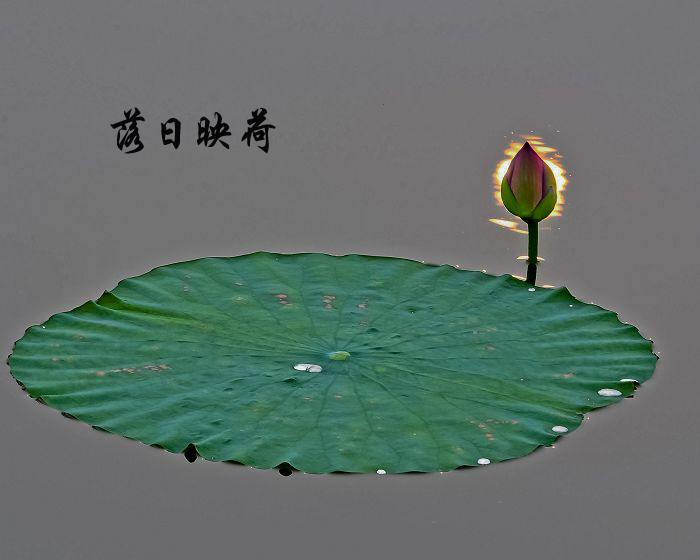 nEO_IMG_ӳ.jpg