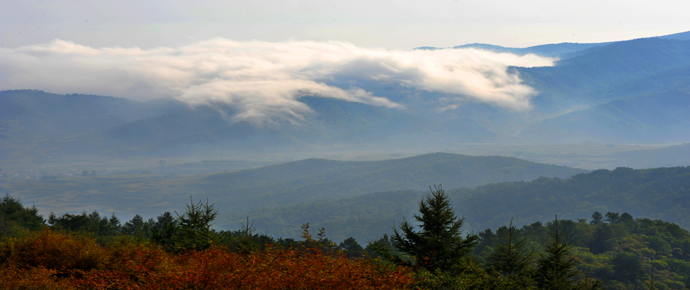 DSC_5818.JPG