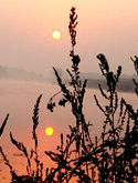 IMG_9832_.jpg