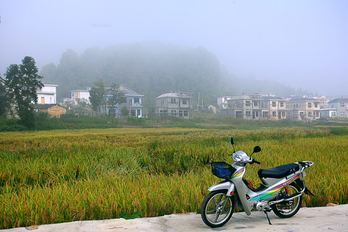糿 03 IMG_3827-1.jpg