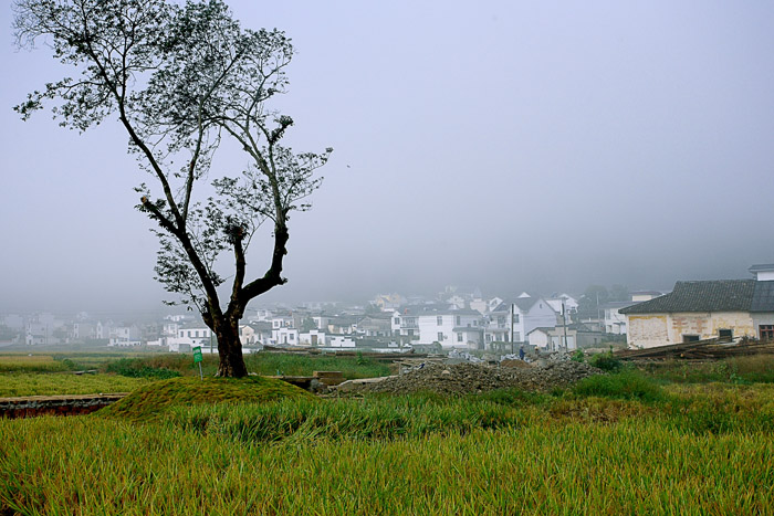 糿 02 IMG_3826-1.jpg