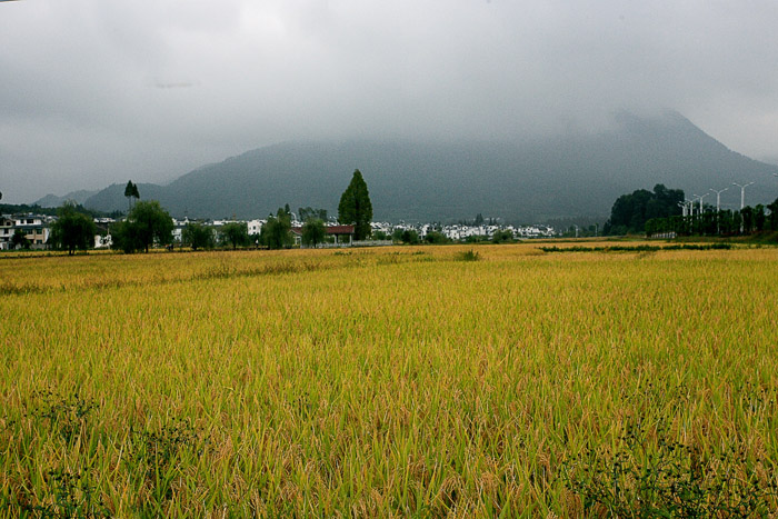 糿 01 IMG_3585-1.jpg