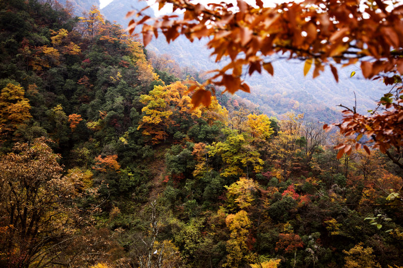 _MG_7592.jpg