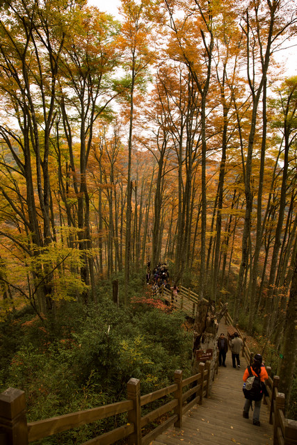 _MG_7656.jpg