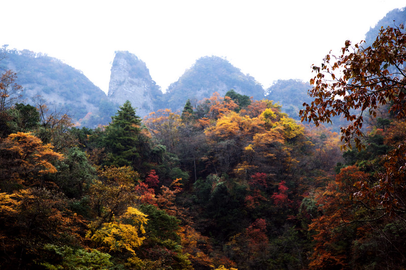 _MG_7555.jpg