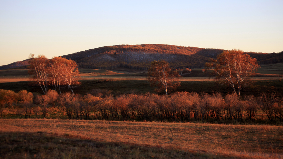 _MG_5795.JPG