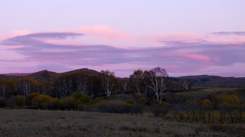 P1130734.JPG