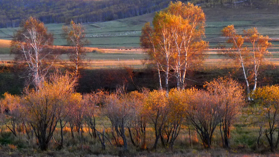 P1130736.JPG