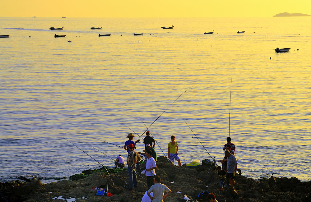 DSC_2615.jpg