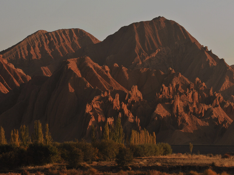 DSC_0362.jpg