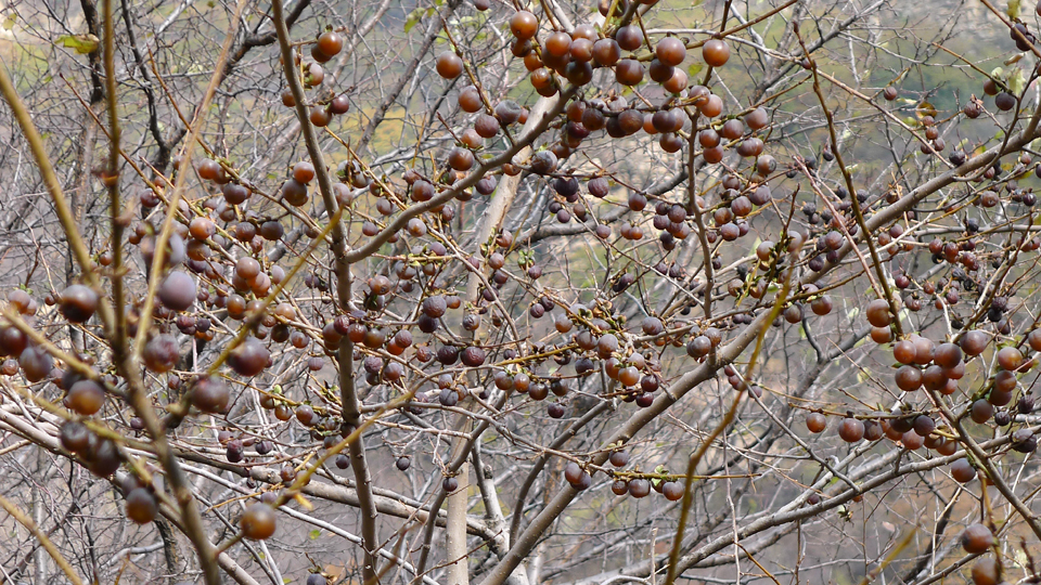 P1070860.JPG