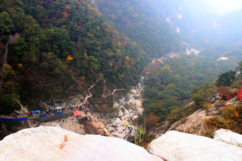 IMG_02000.jpg