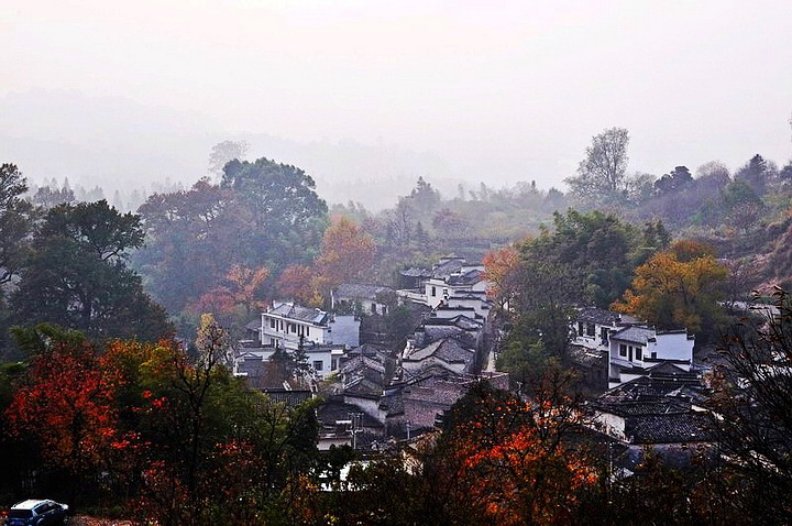 DSC_0769A.jpg