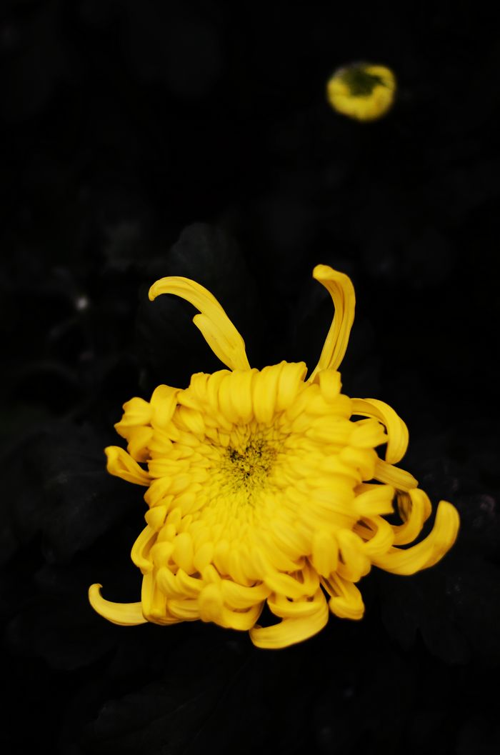DSC_9292.jpg--02.jpg
