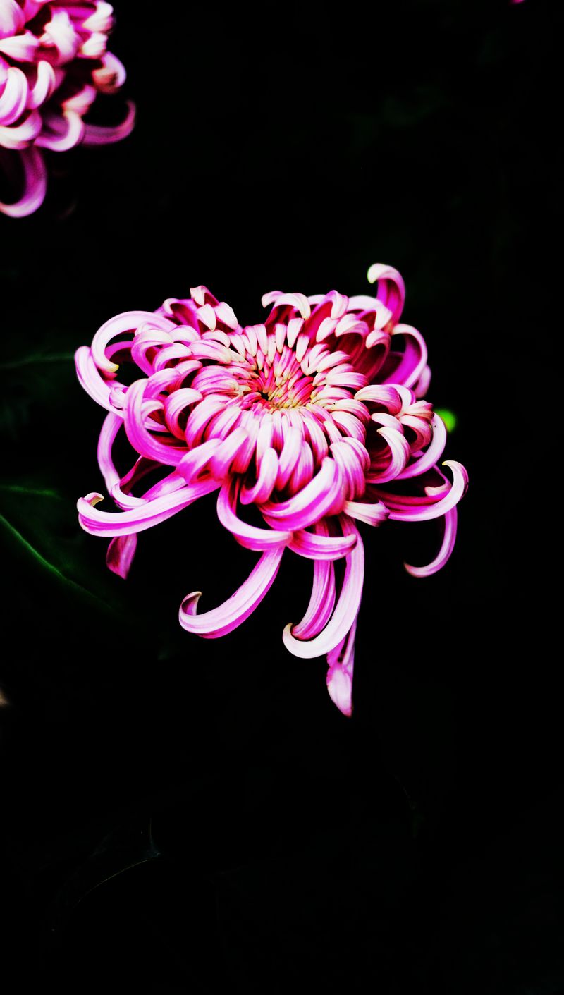 DSC_9347.jpg--04.jpg
