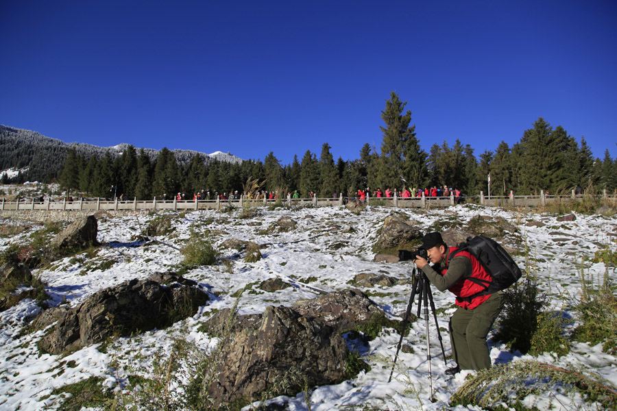 _MG_4855.jpg