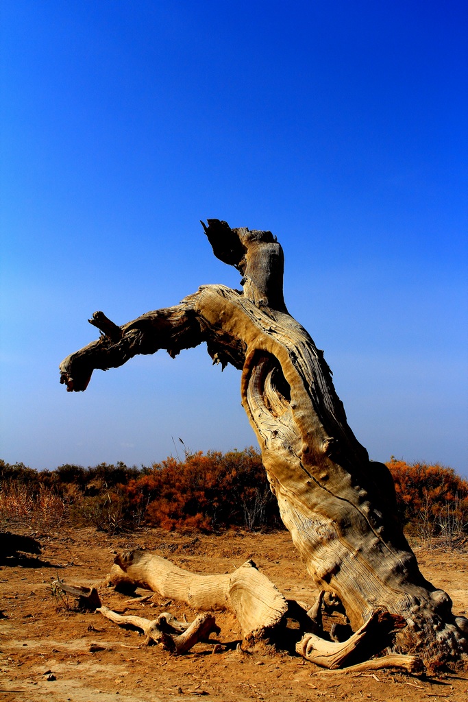 ĺ1.jpg