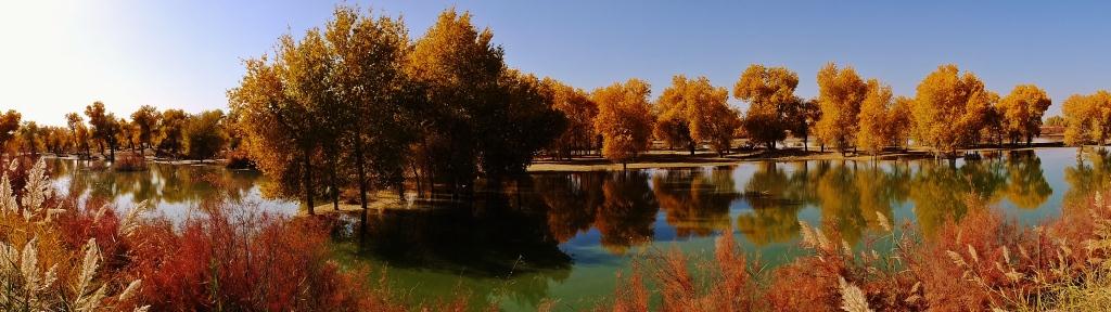 DSCF0909.JPG