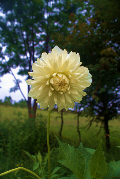 DSC04857.jpg
