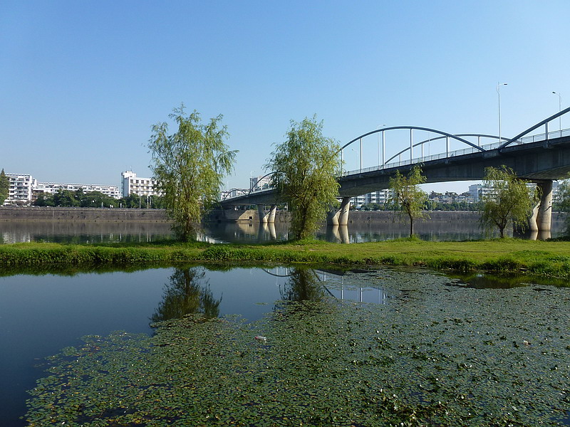 P1030040AB.jpg