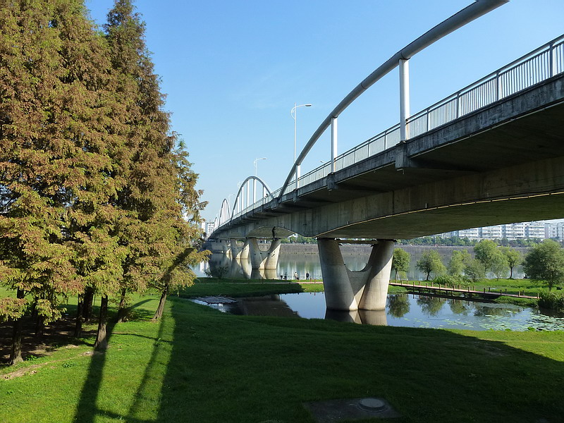 P1030063AB.jpg