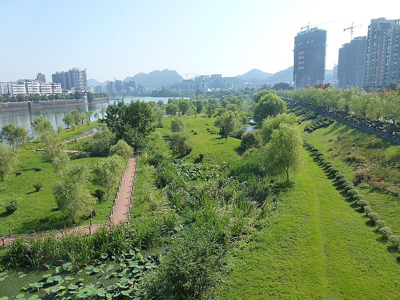 P1030091AB.jpg