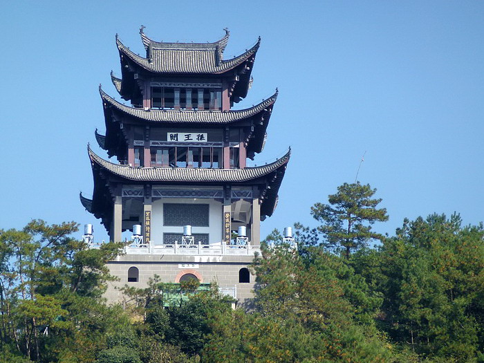 P1030232AB.jpg