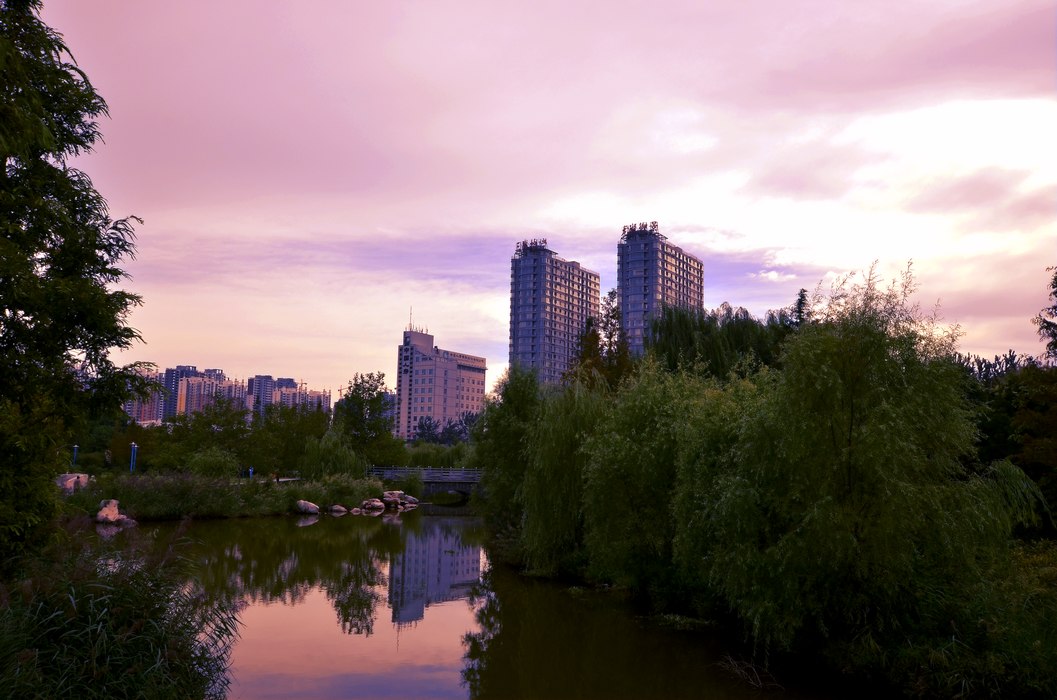 DSC_005.jpg