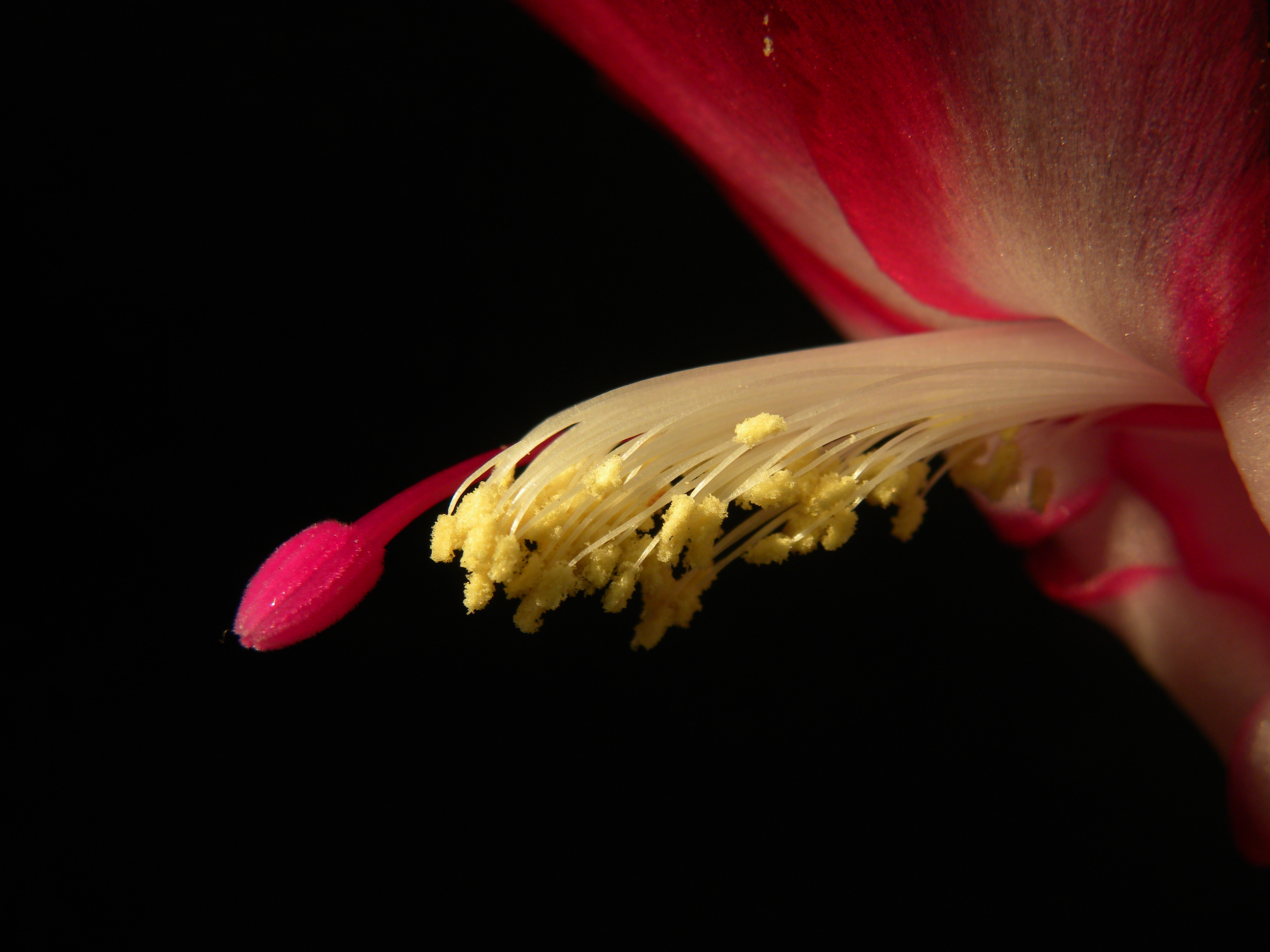 DSCN9368.JPG