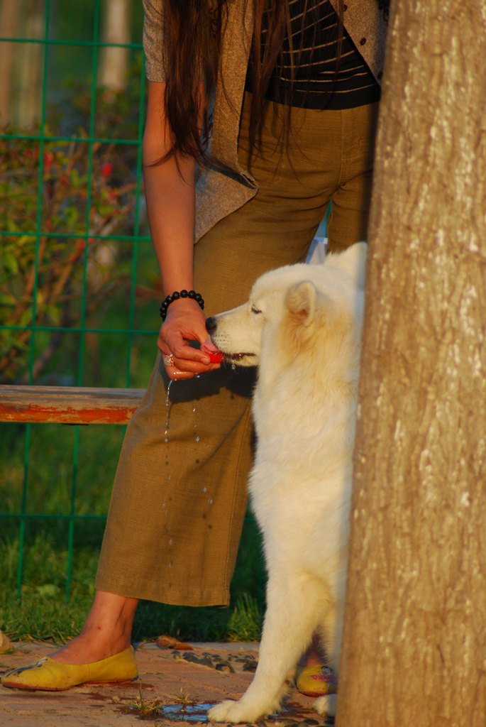 DSC_6927.JPG