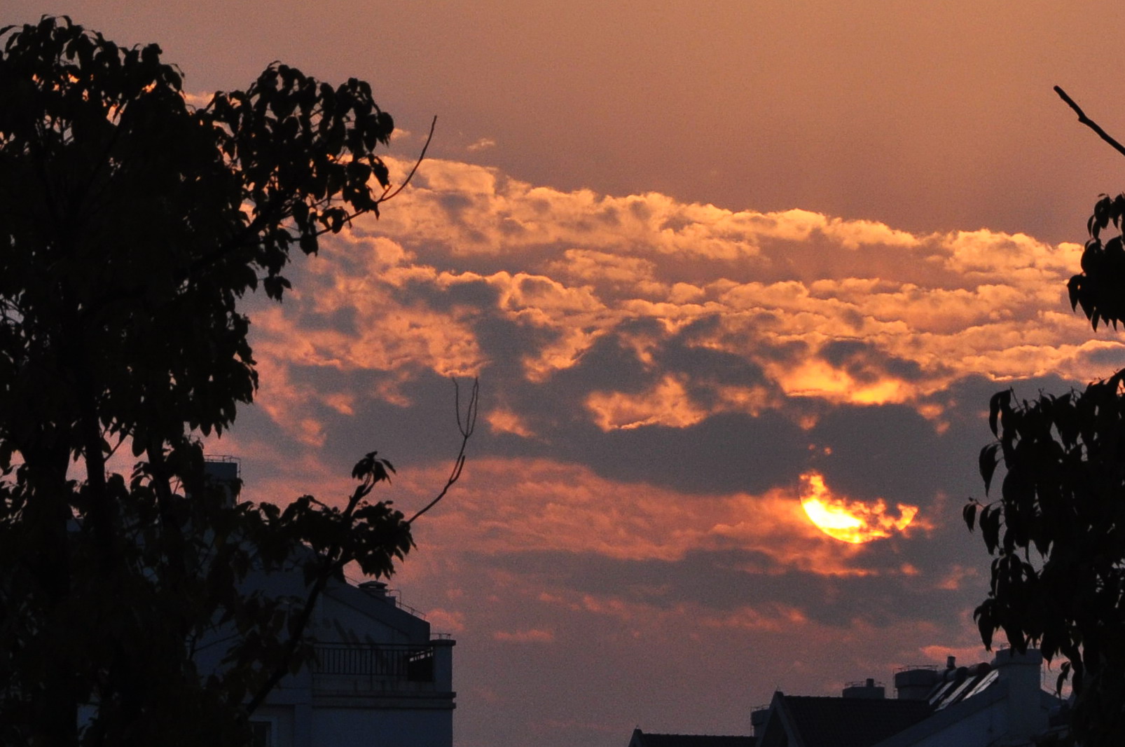 DSC_1958AB.jpg