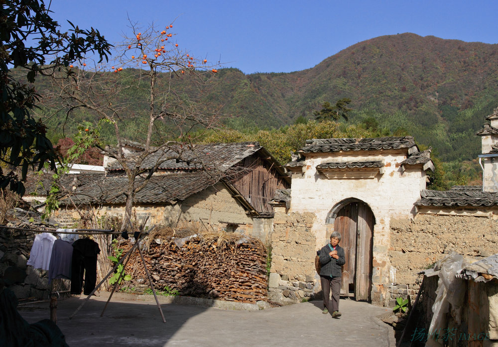 DPP_0311.jpg