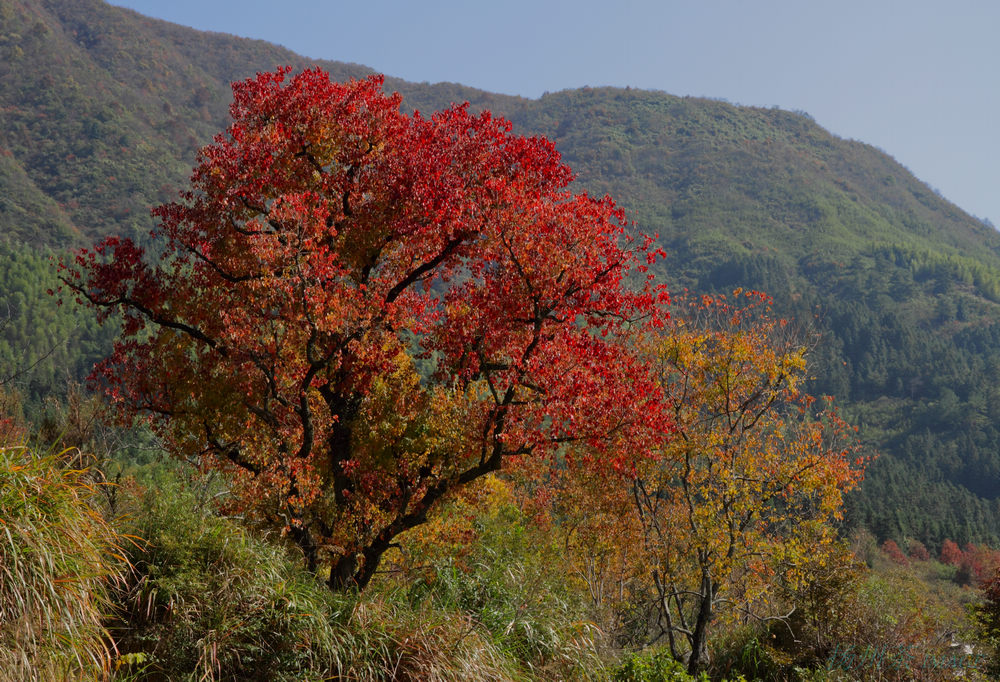 DPP_0276.jpg