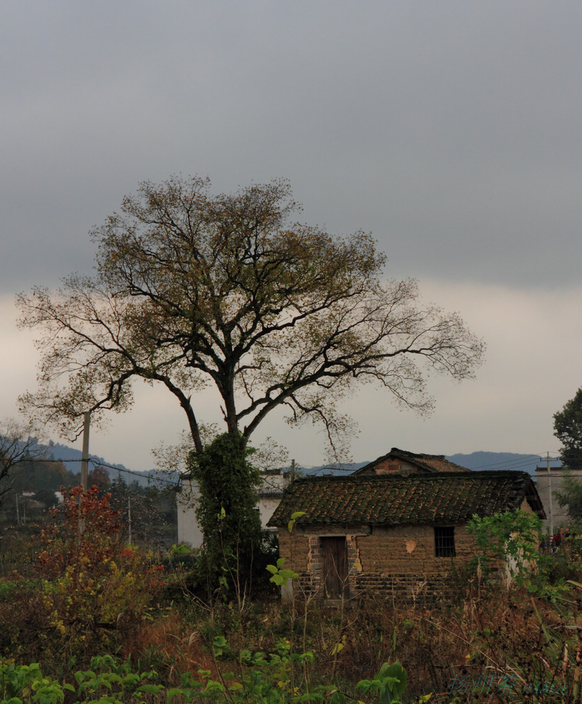 DPP_0091.jpg
