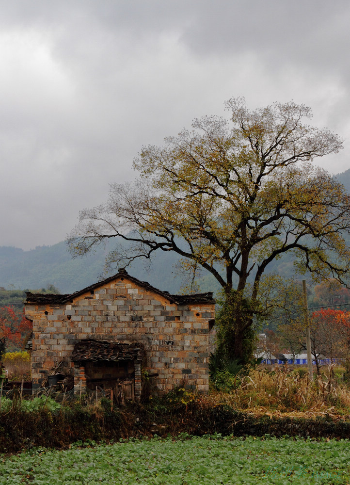 DPP_0083.jpg