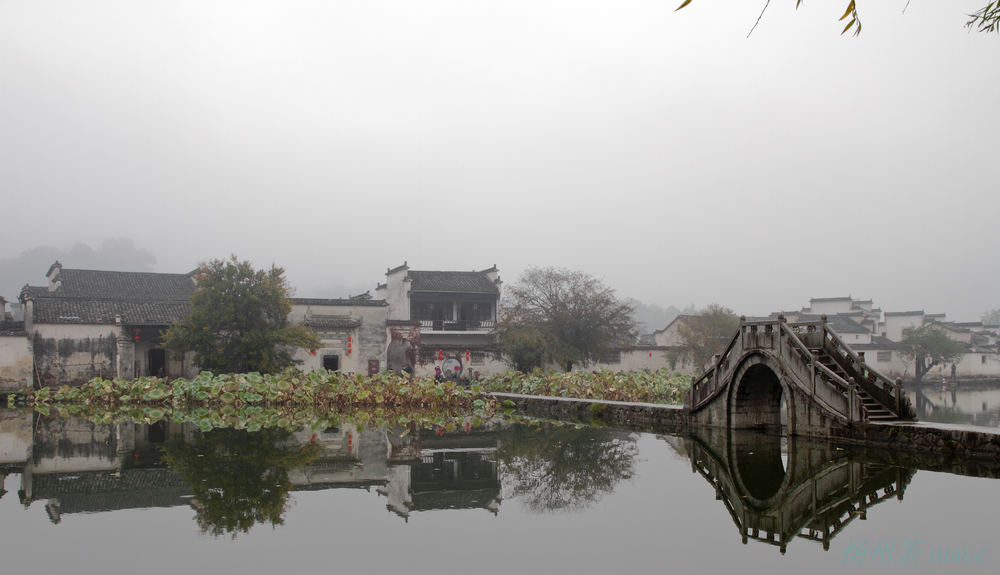 DPP_0009.jpg