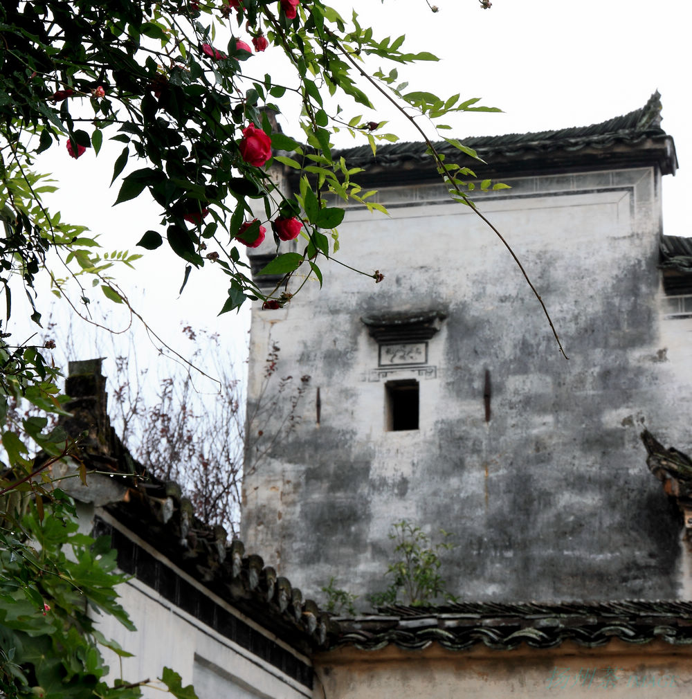 DPP_0033.jpg