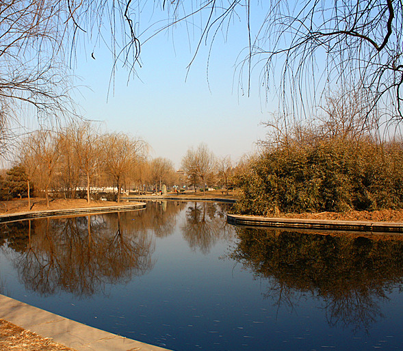 IMG_6419_.jpg