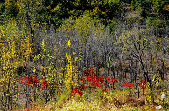 DSC_0154.JPG