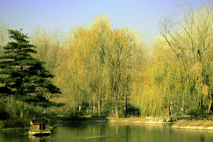 秋色 IMG_6375副本.jpg