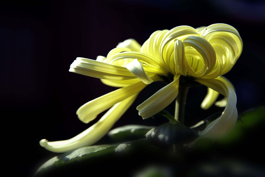_MG_9307.JPG