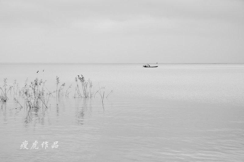 DSC_0904-xc1.jpg