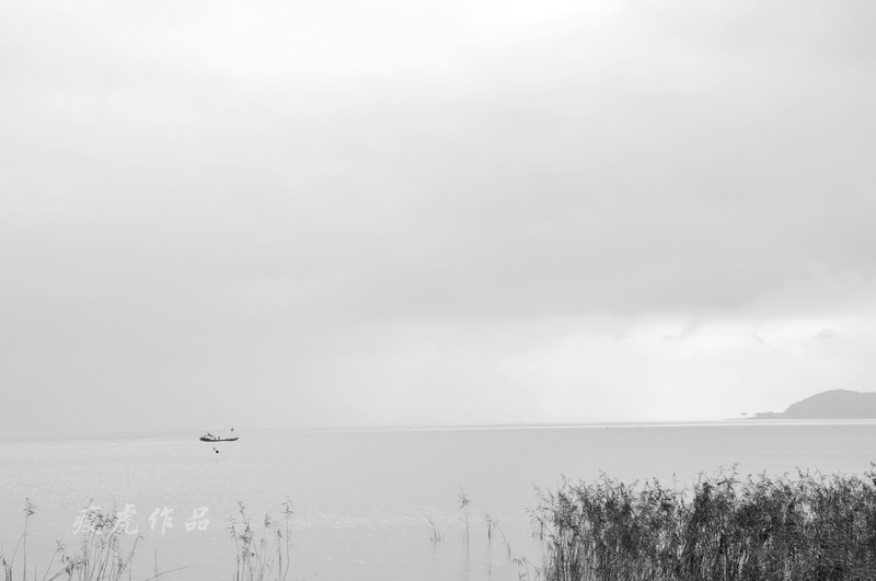 DSC_0919-xc1.jpg