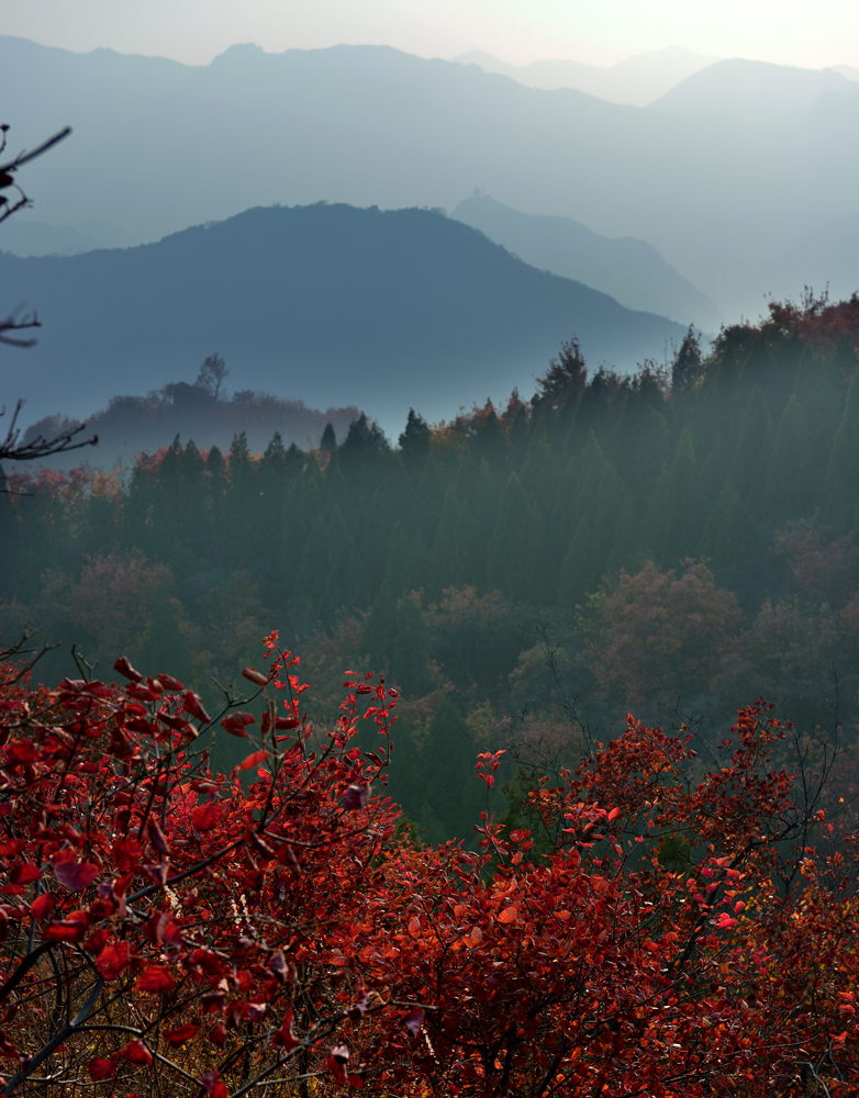 DSC_0502.jpg