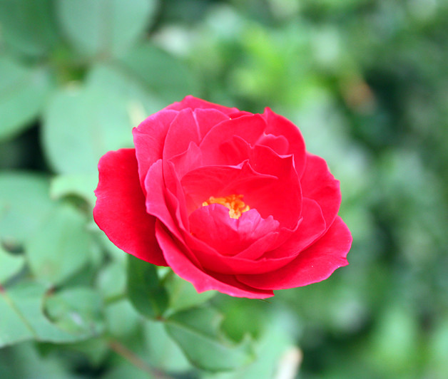 IMG_6573_.jpg